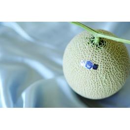 メロー静岡やらまいか「クラウンメロン」／Mellow Shizuoka Yaramaika 'Crown melon'